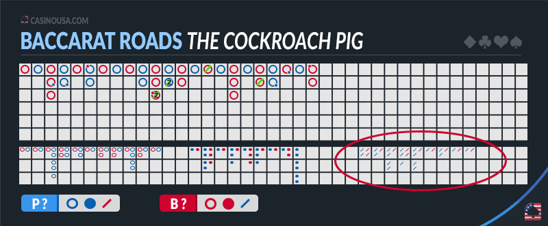 Image of The Cockroach Pig Baccarat Roads